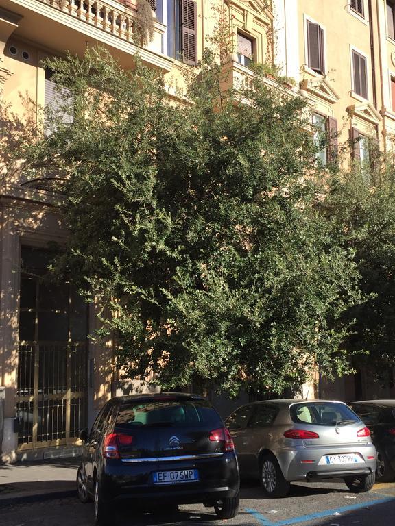 Vatican Accommodations Rome Exterior photo